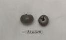 Click for 1 image(s) for this accession. FRUIT